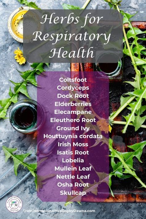 Herbs For Respiratory Health, Herbs For Respiratory Infection, Upper Respiratory Infection Tea, Lung Healing Herbs, Holistic Healing For Lungs, Herbs For Lungs Respiratory System, Heart Diet, Medical Words, Holistic Health Remedies