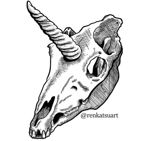 Did a quick commission of a unicorn skull. Was fun and not what I normally work on. Loved it. . . . . #commission #art #digitalart… Unicorn Skull, Random Reference, Skeleton Tattoos, Year 9, Line Art Tattoos, Skull Drawing, Art Tattoos, Tat Ideas, Abstract Portrait