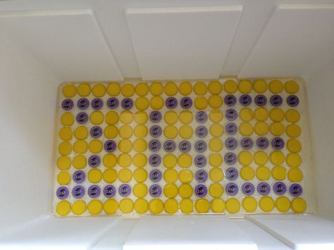 Sigma Alpha Epsilon, SAE, bottle caps Frat Cooler Corner Ideas, Sae Fraternity, Paddy Murphy, Painted Fraternity Coolers, Nola Cooler, Formal Coolers, Frat Formal, Formal Cooler Ideas, Formal Cooler