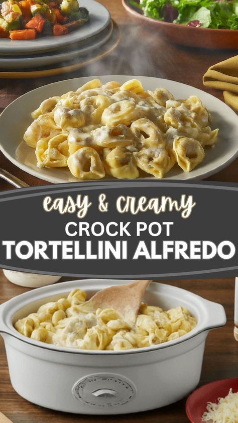 Forget takeout! This EASY Crock Pot Tortellini Alfredo recipe is your ticket to creamy, cheesy goodness in MINUTES!   Perfect for busy weeknights, this recipe is sure to become a family favorite.  Just a few ingredients and your trusty Crock Pot are all you need to whip up this restaurant-worthy dish. Super Easy Crock Pot Meals, Crockpot Recipes Pasta Alfredo, Andouille Sausage Tortellini Crockpot, Crockpot Cream Cheese Tortellini, Crock Pot Cheese Ravioli, Crock Pot Meal Ideas For Dinner, Easy Tortellini Recipes Crock Pots, Slow Cooker Cheese Tortellini, Ground Beef Tortellini Recipes Crock Pot