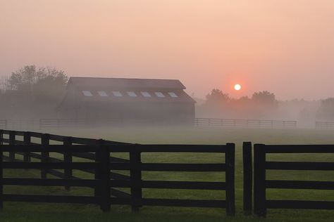 Sunrise in Rural Kentucky | Northwest Kentucky | Wade Gurney | Flickr Kentucky Aesthetic, Rural Kentucky, Blood Moon, North West, Kentucky, Favorite Places, Moon, Collage, Pins