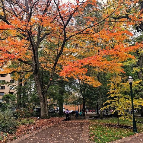 Oregon State University Aesthetic, Portland University, Apartment Color Palette, Identity Collage, University Of Portland, Autumn Ambience, Oregon College, English Girl, Aesthetic Scenery