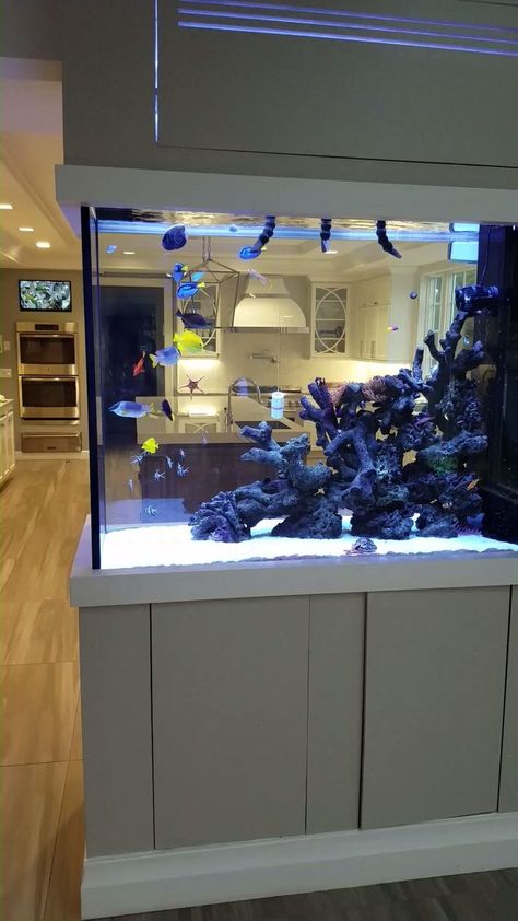 Custom Fish Tanks, Wall Aquarium, Saltwater Aquarium Fish, Amazing Aquariums, Cool Fish Tanks, Fish Tank Design, Home Aquarium, Saltwater Tank, Brick Exterior House