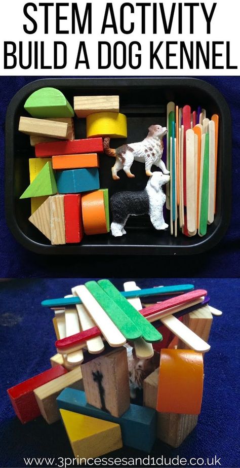 Build A Dog Kennel, Building A Dog Kennel, Kindergarten Stem, Pets Preschool Theme, Preschool Stem, Creative Curriculum, Pet Vet, Stem Challenges, Preschool Science