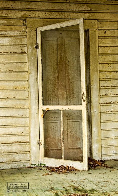 Coloradolady: Screen Doors......Old Screen Doors Old Screen Door Ideas, Screen Door Ideas, Vintage Screen Doors, Old Screen Doors, Wooden Screen Door, Screen Doors, Wooden Screen, Wooden Gates, Peeling Paint