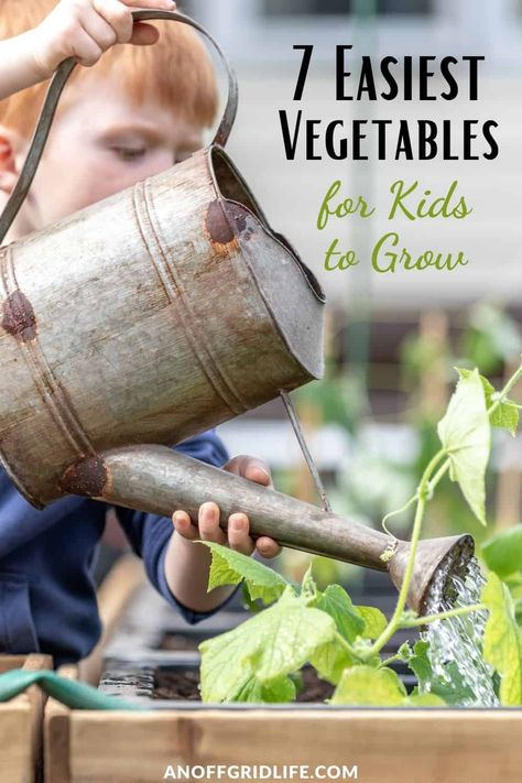 7 Easiest Vegetsbles for Kids to Grow Homeschool Coop, Kids Vegetables, Easy Vegetables To Grow, Kids Growing Up, Grow Your Own Food, Spring Inspiration, Gardening For Kids, Gardening For Beginners, Growing Vegetables