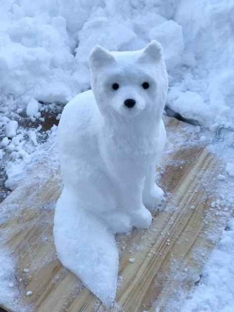 Snow Animals, Hidden In Plain Sight, Snow Sculptures, I Love Snow, Snow Much Fun, Snow Art, Snow Fun, I Love Winter, Gifts For Boyfriend