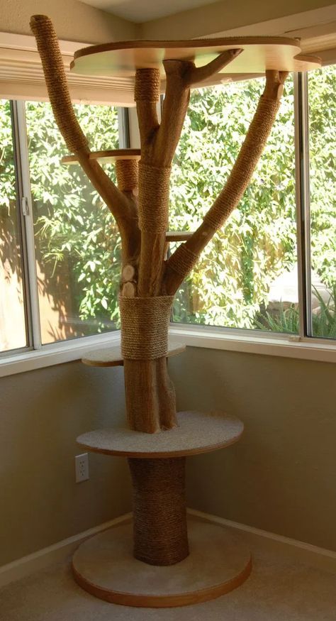 Katt Diy, Kat Diy, Chat Diy, Diy Cat Tree, Diy Cat Toys, Cat Towers, Diy Playground, Cats Diy Projects, Cat Playground