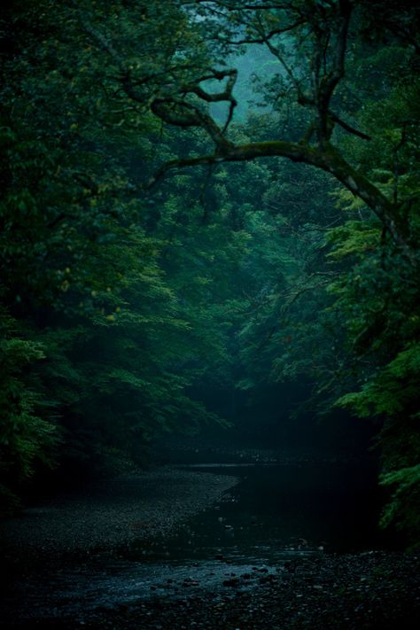 Soul Searching, Dark Forest, Woodworking, Trees, Forest, Green