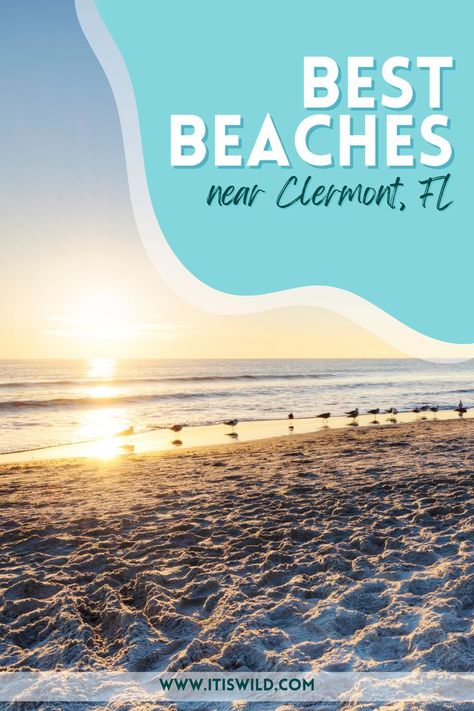 This list of amazing vacation destinations near Clermont, Florida features some of the best beaches in the area. If you live in the Clermont, FL area, you'll want to add these vacation destinations to your travel bucket list. These beach locations are beautiful places for family travel and awesome US travel destinations. #bestplacestotravel #mostbeautifulplacesintheworld #beautifulplacestotravel #beautifulplaces #magicalplaces #clermont #florida #surfing #beachtrip #roadtrip #waterskiing #tubing Clermont Florida, Sunny Vacation, Us Travel Destinations, Water Skiing, Best Beaches, Sunshine State, Florida Travel, Beautiful Places To Travel, Gulf Coast