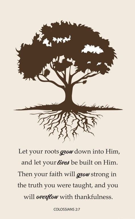 Bible Study Images, Tree Bible Verse, Plank Art, Majestic Tree, Christian Graphics, Colossians 2, Tree Tattoos, Wonders Of Nature, Spiritual Encouragement