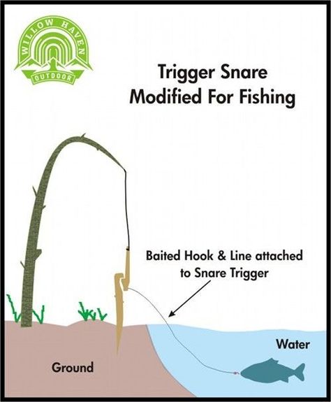 Bushcraft Projects, Snare Trap, Survival Fishing, Game Of Survival, Bushcraft Camping, Festival Camping, Urban Survival, Survival Techniques, Survival Life