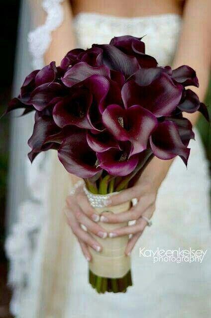 Gorgeous Bridal Bouquet Of: Dark Purple Calla Lilies White Calla Lily Bouquet, Calla Lily Bouquet Wedding, Purple Calla Lilies, Calla Lily Bouquet, Purple Wedding Bouquets, Wedding Colors Purple, Lily Bouquet, Diy Wedding Bouquet, White Wedding Flowers