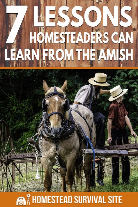 Amish Homestead, Pioneer Skills, Survival Storage, Survival Projects, Homestead Skills, Homestead Style, Country Pictures, Free Land, Off Grid Homestead