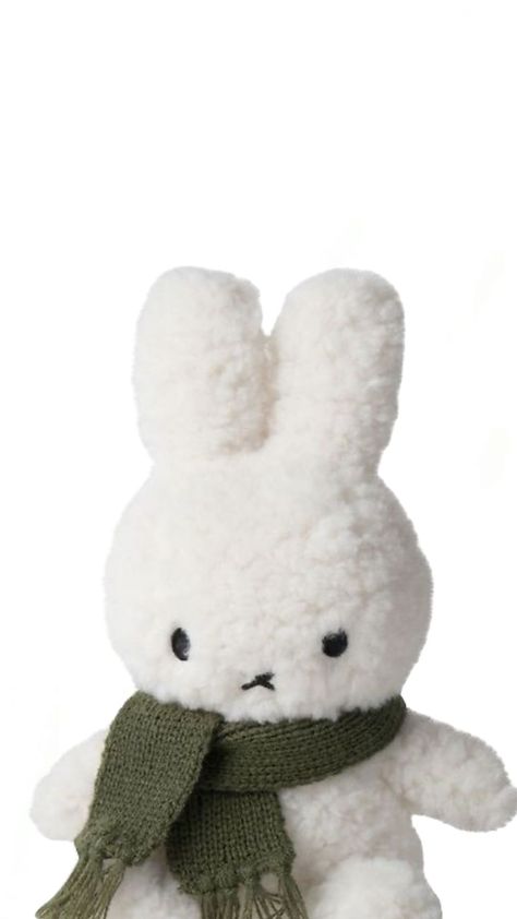 Miffy Pfp, Green Popcorn, Crayon Box, White Bunny, Green Scarf, Kid Character, Soft Toys, Bedtime Stories, Aesthetic Iphone Wallpaper