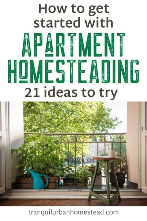 Homestead Apartment, Apartment Homesteading, Homesteading Tools, Living In An Apartment, Indoor Vegetables, Backyard Design Ideas Budget, Modern Homesteading, Homesteading Ideas, Homesteading Skills