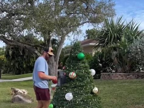 Transforming a Mailbox into a Festive Christmas Tree - NewsBreak Free Thanksgiving, Diy House Projects, Festive Christmas, Mailbox, Happy Day, Christmas Decor Diy, Christmas Crafts, Breaking News, Christmas Decorations