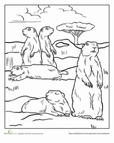 Prairie Dog Coloring Page Worksheet Prairie Animals, Biomes Activities, Coloring Worksheets For Kindergarten, Ecosystems Projects, Prairie Dogs, Insect Crafts, Stained Glass Quilt, Stencil Font, Prairie Dog