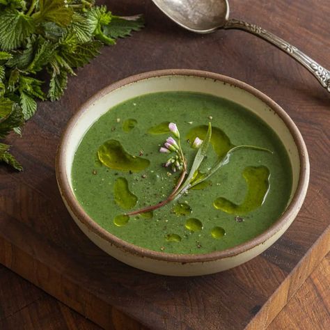 Classic Stinging Nettle Soup Recipe - Forager | Chef Forager Chef, English Sweets, Nettle Recipes, Nettle Soup, Cow Parsnip, Creamed Leeks, Chilled Soup, Pureed Soup, Stinging Nettle