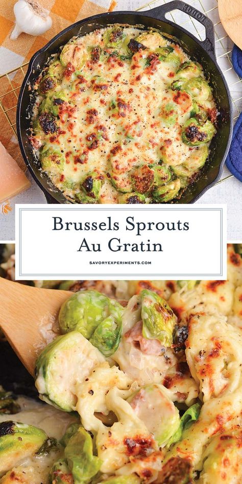 This EASY Brussels Sprouts Au Gratin recipe brings together healthy Brussels sprouts with savory and salty bacon and a creamy cheese sauce! Brussel Sprout Casserole, Brussel Sprouts Recipes Easy, Brussels Sprouts Gratin, Au Gratin Recipes, Holiday Sides, Sprout Recipes, Brussels Sprouts Recipe, Thanksgiving Side Dishes, Vegetable Sides