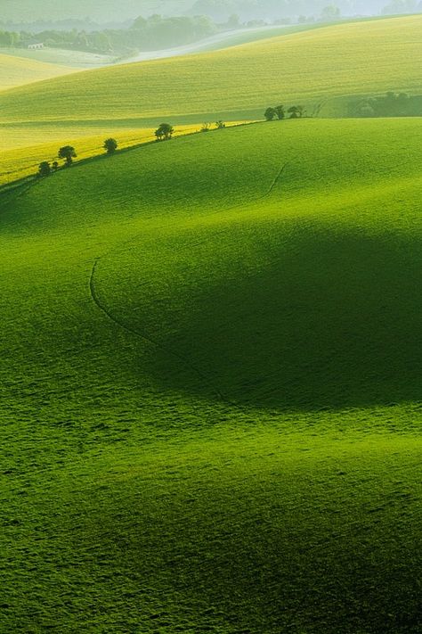 East Sussex Green Landscape, East Sussex, English Countryside, Rolling Hills, Alam Yang Indah, Beautiful World, Beautiful Landscapes, Wonders Of The World, Places To See