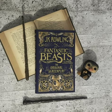 [Books] J. K. Rowling - Fantastic Beasts and Where to Find Them: The Original Screenplay Fantastic Beasts And Where To Find Them Book, Fantastic Beasts And Where To Find Them Aesthetic, Fantastic Beasts And Where To Find Them, Fantastic Beasts Book, Book Wishlist, Potter Aesthetic, Fantastic Beast, Fantastic Beasts And Where, J K Rowling