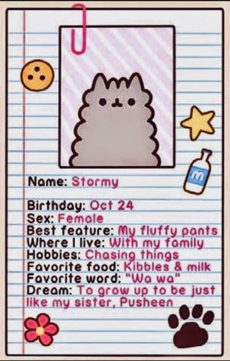 Stormy is the coolest cat around, who is just as purrfect as her sister, Pusheen!Pusheen and Stormy are the cutest with their adorable traits and talents! They form a clawsome duo! ;) Pusheen Stormy, Pusheen Birthday, Pusheen Love, Pusheen Cute, Chat Kawaii, Images Kawaii, Pusheen Cat, Nyan Cat, Image Chat