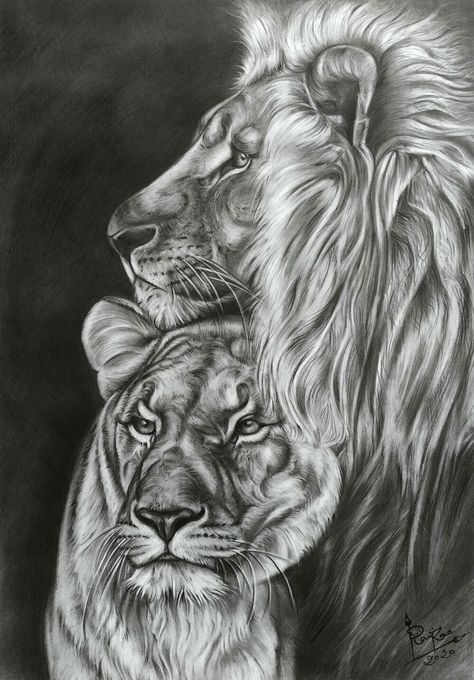 Charcoal Drawing of Lion couple by Artist Ravi Rao Lion Couple Art, Lion And Lioness Painting, Lion Couple Drawing, Lion Drawing Realistic, Couple Tattoos Lion And Lioness, Lion And Lioness Drawing, Lion Couple Tattoo, Lion And Lioness Tattoo, Female Lion Tattoo