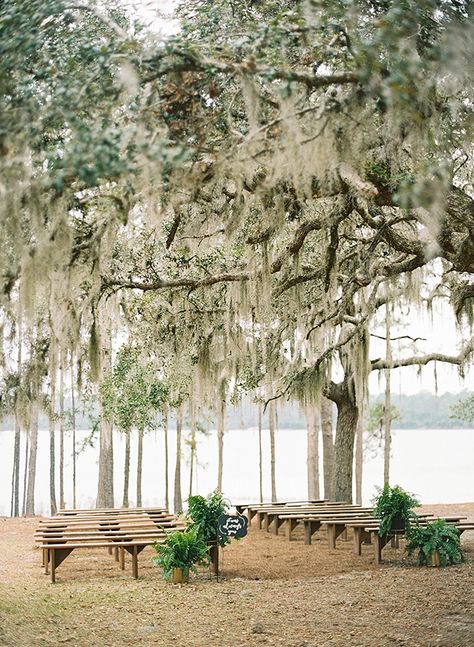 Elegant Lake Wedding Under A Spanish Moss Tree - Inspired By This Tap Photography, Spanish Moss Wedding, Spanish Moss Trees, Moss Tree, Brides Flowers Bouquet, Moss Wedding, Lake House Wedding, Moss Decor, Wedding Day Tips