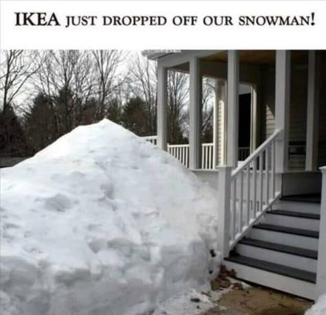 Ikea Funny, Dark Funny, Rights And Responsibilities, Weather Seasons, Opinion Writing, Medal Of Honor, The Patriot, Cartoon Memes, Cheer You Up