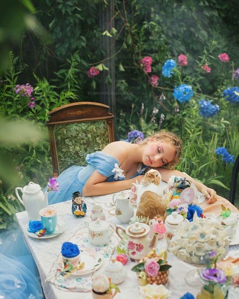 Alice In Wonderland Photography, Tea Party Photography, Projector Photography, Magical Photography, Fairytale Photoshoot, Animals And People, Alice Costume, Debut Ideas, Alice In Wonderland Aesthetic