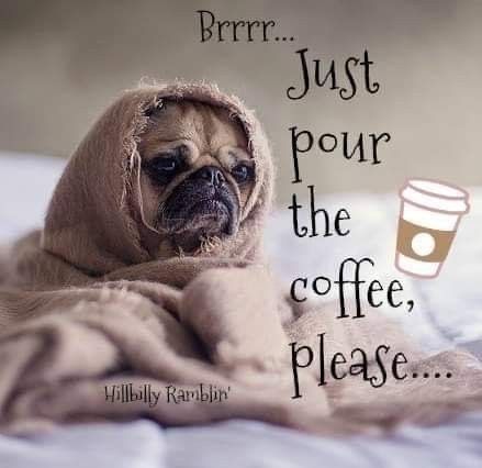 Mood Coffee, Funny Coffee Quotes, Coffee Obsession, Coffee Pictures, A Pug, Need Coffee, Coffee Is Life, Good Morning Coffee, Cute Pugs