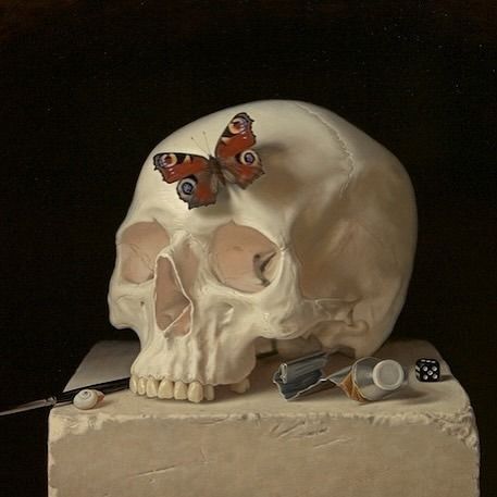 Alex Callaway (@alex.callaway) • Instagram photos and videos Vanitas Photography, Memento Mori Art, Vanitas Paintings, Skull Reference, Life Drawing Reference, Skull Painting, New Painting, Still Life Drawing, Human Skull