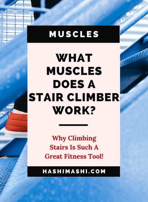 What Muscles Does a Stair Climber Work - Just How Good Is It? Stairmaster Benefits, Climbing Stairs Workout, Stair Climber Workout, Stairmaster Workout, Workout Benefits, Lower Your Blood Pressure, Climbing Stairs, Hamstring Muscles, Stair Climber