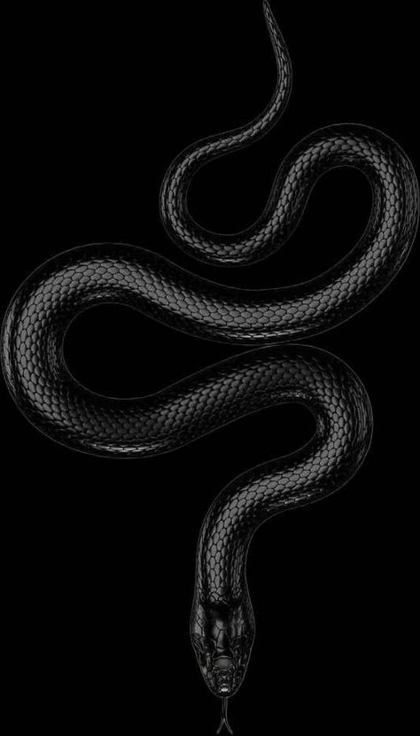 Black Snake Iphone Wallpaper, Snakes Wallpaper Aesthetic, Black Snake Art, Serpent Aesthetic, Graffiti Art Tattoo, Snakes Aesthetic, Snake Background, White And Black Snake, Snake Quotes