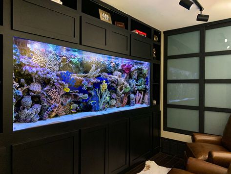 Aquarium Design Ideas House, Big Aquarium Living Rooms, Aquarium Design Ideas, Aquarium Room, Fish Tank Wall, Custom Aquarium, Big Aquarium, Wall Aquarium, Ocean Aquarium