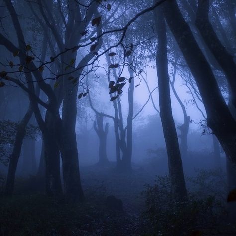 Creepy Lake, Quarry Aesthetic, The Quarry Aesthetic, Deep Green Wallpaper, Dark Blue Aesthetic, Army Of Darkness, Blue Aesthetics, Scared Of The Dark, 26 December