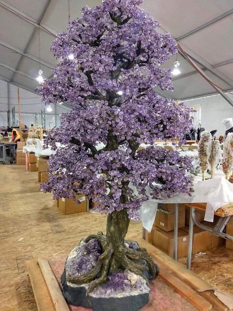 This Amethyst Tree is just Stunning ! 😍   If it was Yours, Where would you display it?     Photo: moonbeamandmayhem Crystal Room, Crystal Aesthetic, Crystal Tree, Crystal Geode, Crystal Healing Stones, All Things Purple, Minerals And Gemstones, Rocks And Gems, Crystal Decor