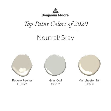 @benjaminmoore posted on their Instagram profile: “That's a wrap on 2020! Before we celebrate 2021, we're taking a look back at our top-selling paint…” Paint Colors Of The Year, Manchester Tan, Top Paint Colors, Revere Pewter, Favorite Paint Colors, Paint Colors Benjamin Moore, Benjamin Moore Paint, Favorite Paint, Patti Smith