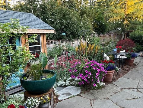 Suburban Sanctuary: A Garden for Food and Wildlife | Garden Design Flowers Around Tree, Wildlife Garden Design, Garden Center Displays, Window Box Plants, Hidden Oasis, Growing Cut Flowers, Growing Your Own Food, Tattoo Plant, Small Vegetable Gardens