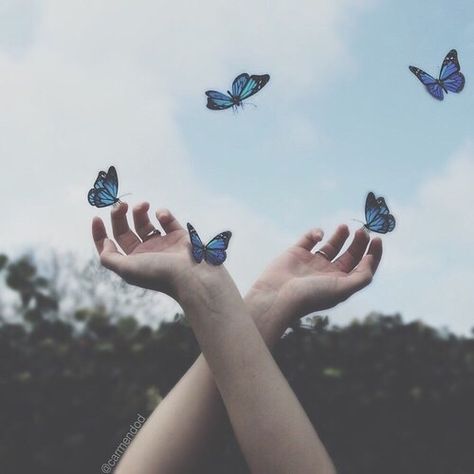 Imagem de butterfly, blue, and sky Ravenclaw Aesthetic, Chloe Price, Everything Is Blue, Light Blue Aesthetic, Hipster Grunge, Bellatrix Lestrange, Blue Butterflies, Life Is Strange, Ravenclaw