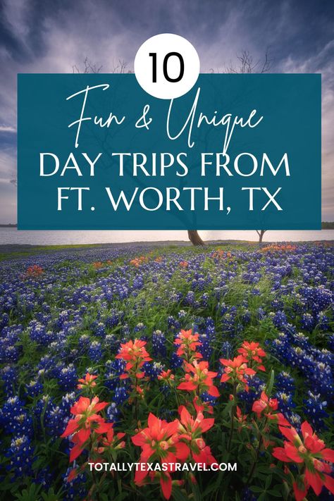 If you are looking for fun day trips from Fort Worth, Texas, you're in the right place. This post outlines 10 easy day trip from Ft. Worth! Texas travel | Fort Worth, Texas | getaways in Texas | weekend getaways in Texas | Texas day trips | things to do near Fort Worth | Texas travel guide | small towns in Texas Texas Day Trips, Texas Beach Vacation, Texas Weekend Getaways, Texas Getaways, Natural Science Museum, Dinosaur Valley State Park, Ft Worth Texas, Texas Travel Guide, America City