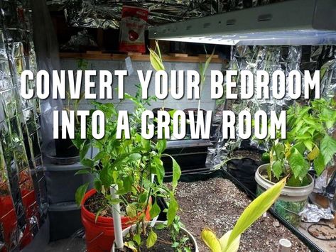 Convert Your Bedroom into a Grow Room | GrowAce.com Plant Grow Room Ideas, Grow Room Setup Indoor, Basement Grow Room, Grow Room Ideas Indoor, Indoor Grow Room, Shipping Container Grow Room, Plant Room With Grow Lights, Mushroom Grow Room, Diy Grow Tent Indoor