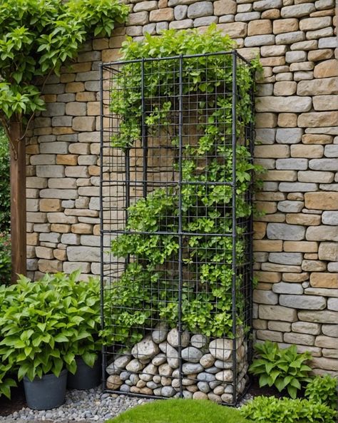 20 Clematis Trellis Ideas For Climbing Vines - Toolz Geek Clematis Trellis Ideas, Wall Mounted Trellis, Gabion Cages, Clematis Trellis, Vine Trellis, Japanese Garden Landscape, Wood Trellis, Trellis Ideas, Rod Iron