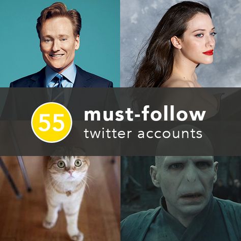 55 Must-Follow Twitter Accounts Guaranteed to Make Your Day | Greatist Best Twitter Accounts, Twitter Accounts To Follow, Twitter Accounts, Health Recipes, Funny Blogs, Tortilla Soup, Best Blogs, Just Smile, Cute Animal Pictures