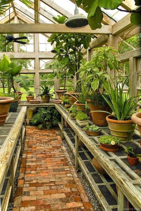 Serre Diy, Pergola Diy, Diy Greenhouse Plans, Backyard Greenhouse, Greenhouse Plans, Storage Sheds, Wooden Sheds, Garden Types, Diy Greenhouse