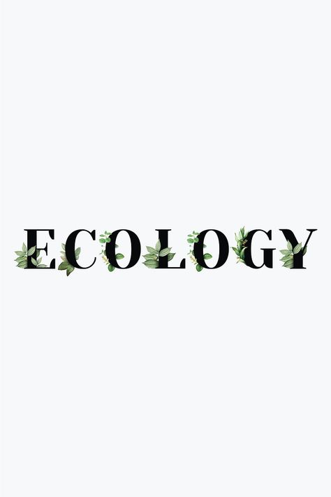 Botanical ECOLOGY word black typography | free image by rawpixel.com / Aum Ecology Projects, 1 Typography, Green Land, Ipad Ideas, Black Typography, Image Collage, Png Text, Bold Fonts, Saved Pins