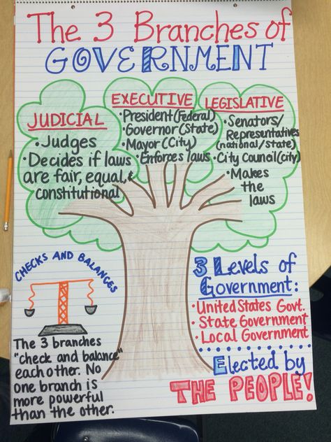 The 3 Branches of Government Anchor Chart Branches Of Government Anchor Chart, Government Anchor Chart, 2nd Grade Social Studies, Three Branches Of Government, 3 Branches Of Government, Teaching Government, Third Grade Social Studies, 3rd Grade Social Studies, 4th Grade Social Studies