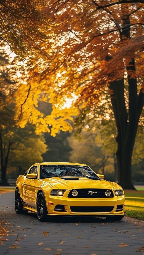 Cool Mustang Wallpapers, Ford Mustang Gt Aesthetic, Mustang Gt Aesthetic, Mustang Wallpaper Aesthetic, Ford Mustang Wallpaper, Cars Pictures, Jagjit Singh, Muscle Cars Mustang, Mustang Wallpaper