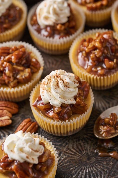 Mini Pecan Cheesecakes, Pecan Pie Mini, Mini Pecan Pie, Pecan Pie Cheesecake Recipe, Pecan Desserts, Mini Pecan Pies, Baker By Nature, Pecan Pie Cheesecake, Pecan Cheesecake